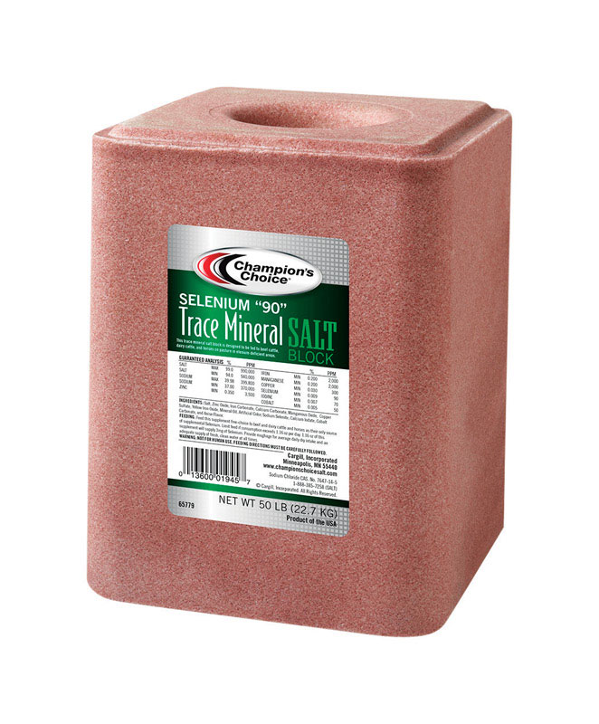 Champion's Choice 50 lb Salt Block with Essential Minerals for